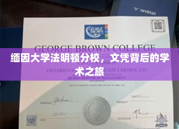 缅因大学法明顿分校，文凭背后的学术之旅