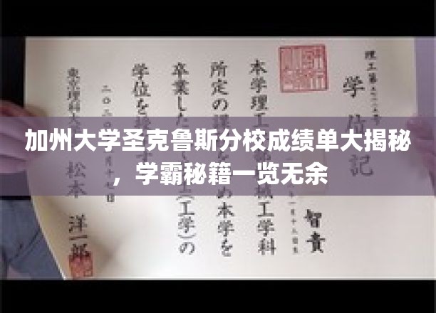 加州大学圣克鲁斯分校成绩单大揭秘，学霸秘籍一览无余