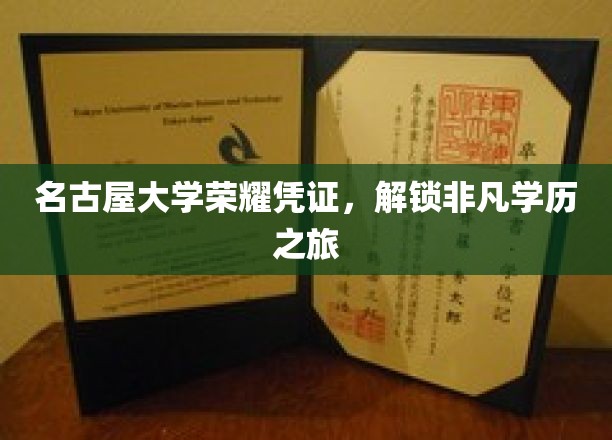 名古屋大学荣誉证书，开启非凡学术之旅