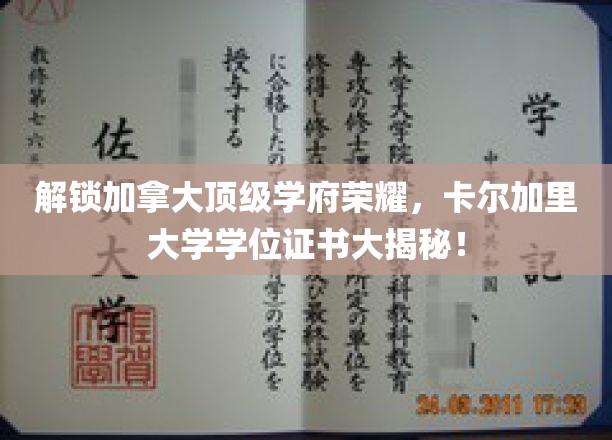 加拿大精英学府卡尔加里大学，学位证书背后的辉煌历程揭晓