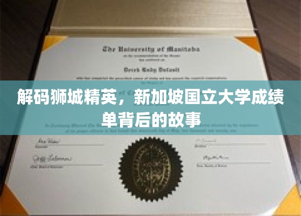 解码狮城精英，新加坡国立大学成绩单背后的故事