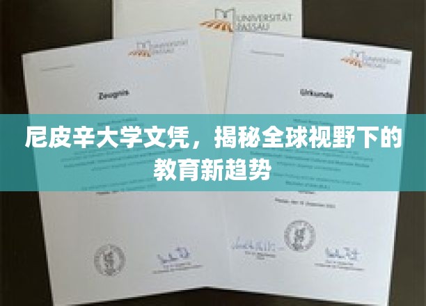 尼皮辛大学文凭，揭秘全球视野下的教育新趋势