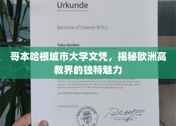 欧洲学府风采揭秘，哥本哈根城市大学文凭背后的教育魅力
