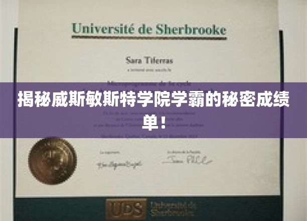 威斯敏斯特学院学霸养成记，揭秘他们的高分秘诀