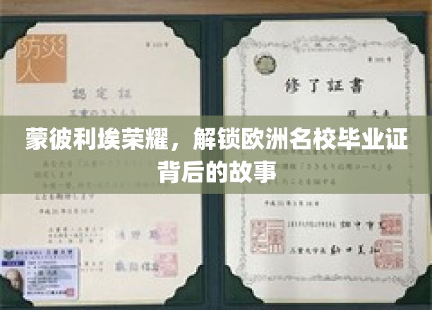 欧洲名校光环下的蒙彼利埃传奇，毕业证书背后的不凡篇章