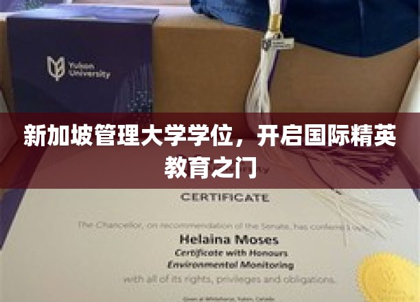 新加坡管理大学学位，引领全球精英教育新篇章
