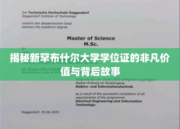 探索新罕布什尔大学学位证的传奇魅力与深层影响