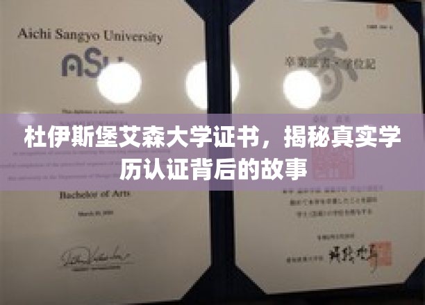 探秘杜伊斯堡艾森大学证书，学历认证背后的真实面纱