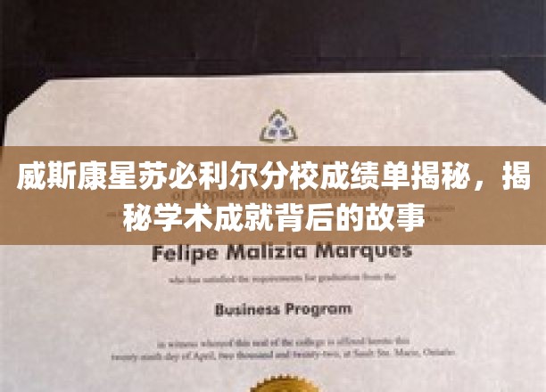威斯康星苏必利尔分校成绩单揭秘，探寻学术成就背后的故事