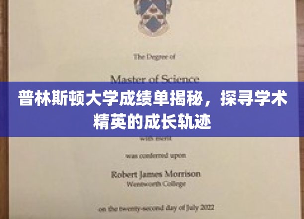 解码普林斯顿学霸之路，揭秘学术精英的卓越成长秘诀