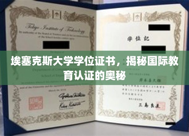 埃塞克斯大学学位证书，揭示国际教育认证的奥秘