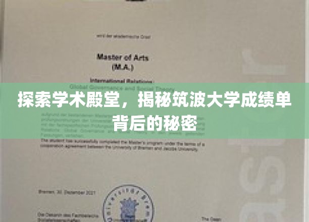 揭秘筑波大学，探寻成绩单背后的学术奥秘