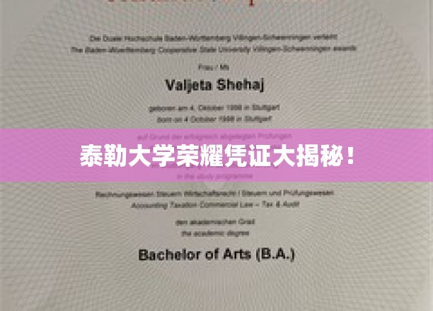 泰勒大学独家荣耀证书背后的故事揭晓