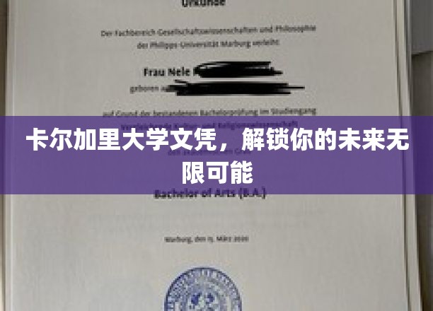 卡尔加里大学文凭，开启无限可能的未来之门