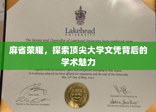 解码麻省精英，顶尖学府文凭的学术魔力与荣耀