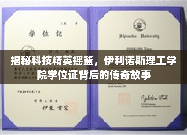 科技精英的孵化器，伊利诺斯理工学院学位证的非凡之路