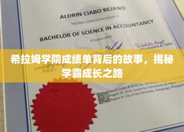 学霸养成记，希拉姆学院成绩单背后的秘密旅程