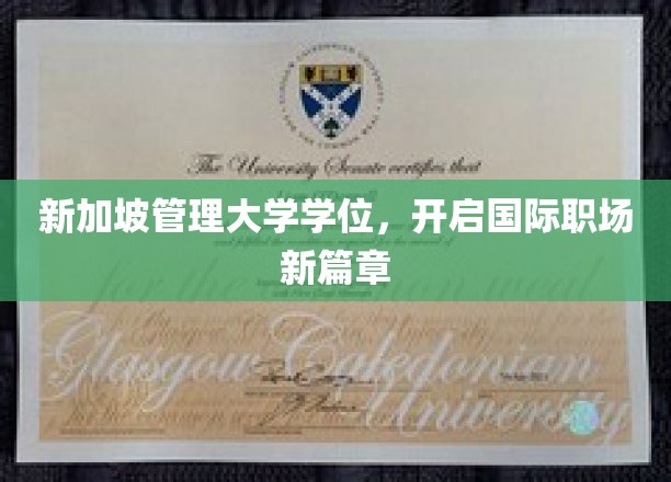 新加坡管理大学学位，开启国际职场新篇章