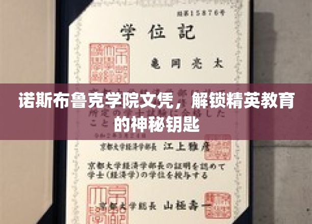 诺斯布鲁克学院文凭，开启精英教育之门