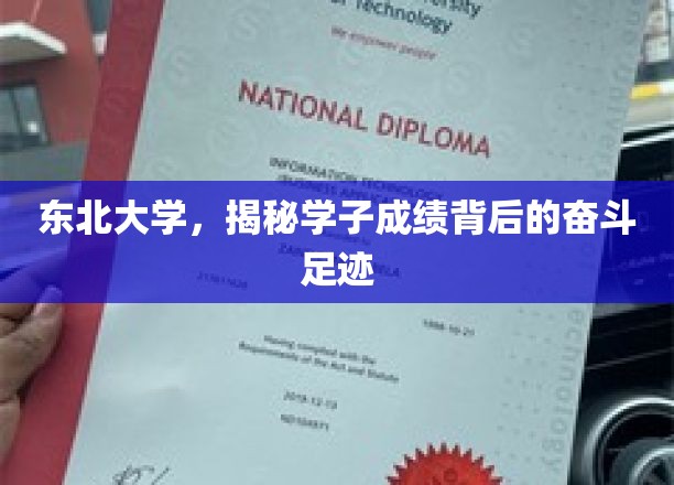 东北大学，揭秘学子成绩背后的奋斗足迹