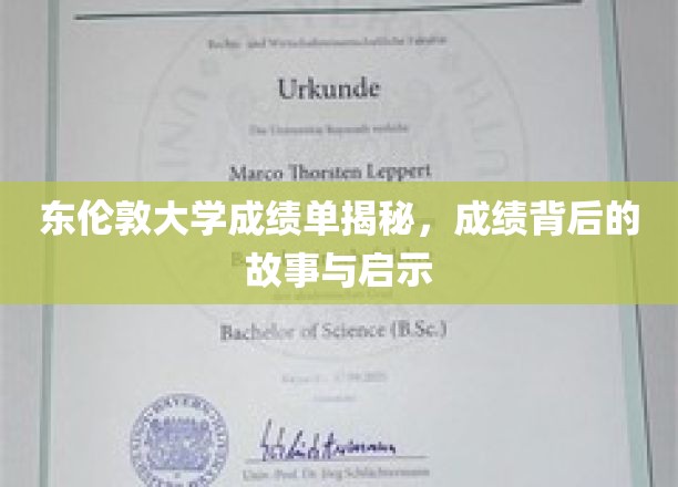 东伦敦大学成绩单深度解析，探寻成绩背后的故事与启示