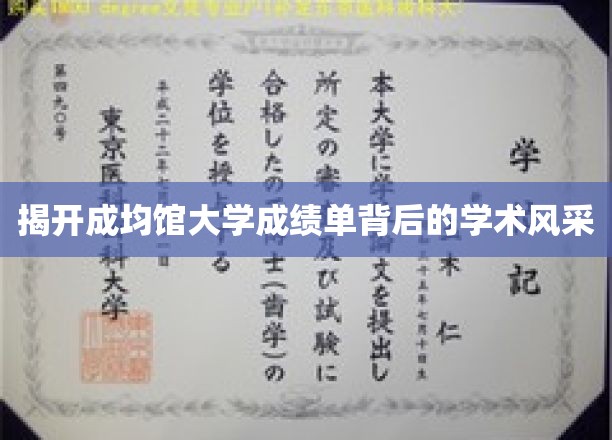 探寻成均馆大学成绩单中的学术魅力之光