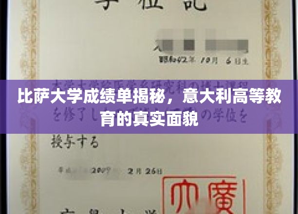 解码比萨大学成绩单，透视意大利高等教育的真实图景