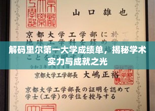 里尔第一大学成绩单背后的学术璀璨星图