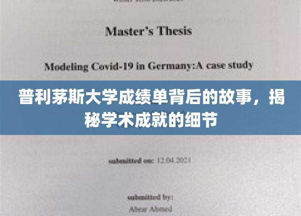 普利茅斯大学成绩单背后的故事，深入揭秘学术成就的细节