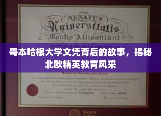 哥本哈根大学文凭背后的传奇，一探北欧精英教育魅力