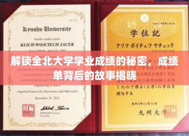 揭秘全北大学学业成绩的秘密，成绩单背后的故事即将揭晓