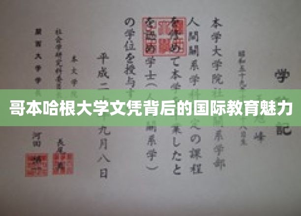 探索哥本哈根大学文凭，国际教育界的璀璨明珠