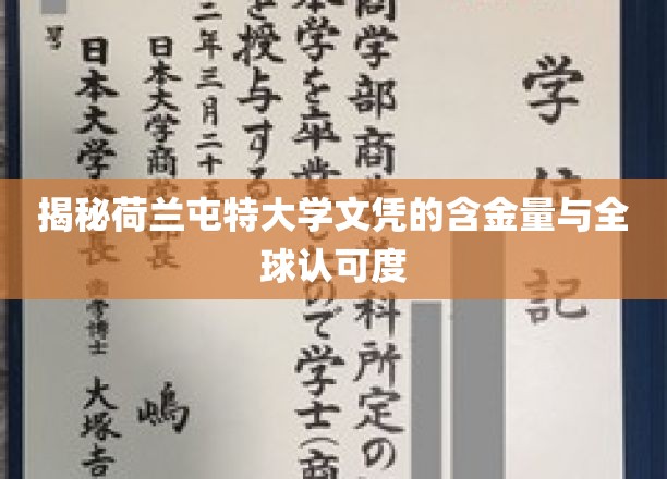 荷兰屯特大学文凭的国际价值与全球通行证解析