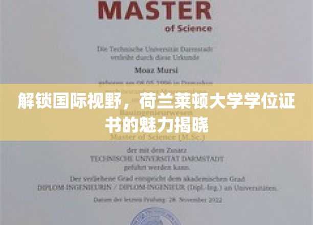 揭秘荷兰莱顿大学学位证书的魅力，开启国际视野