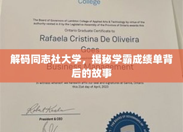 揭开同志社大学学霸的秘密，成绩单背后的非凡轨迹