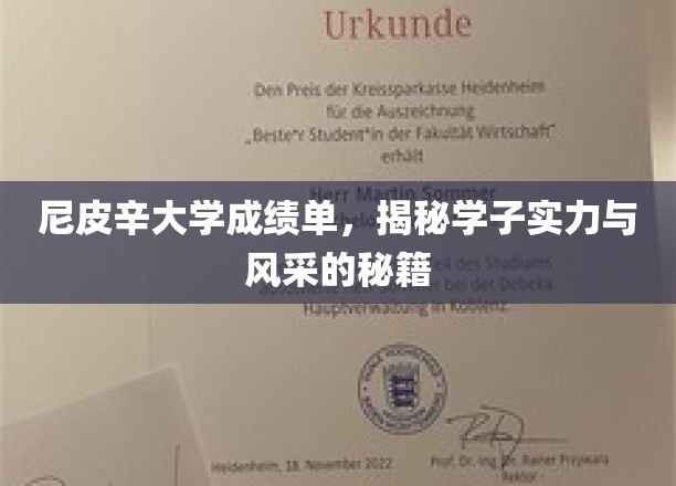 尼皮辛大学成绩单，展现学子实力与风采的秘籍