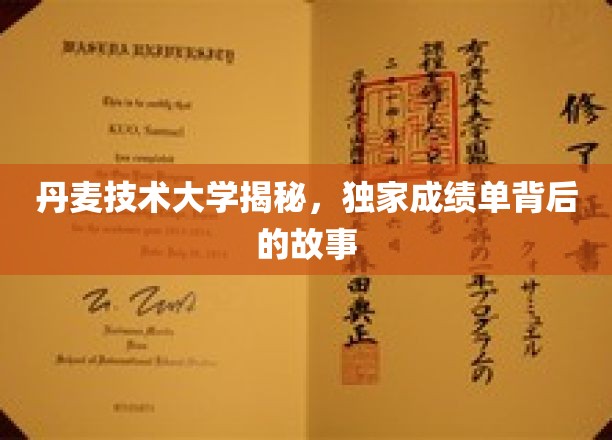揭开丹麦技术大学卓越成绩单背后的创新之旅