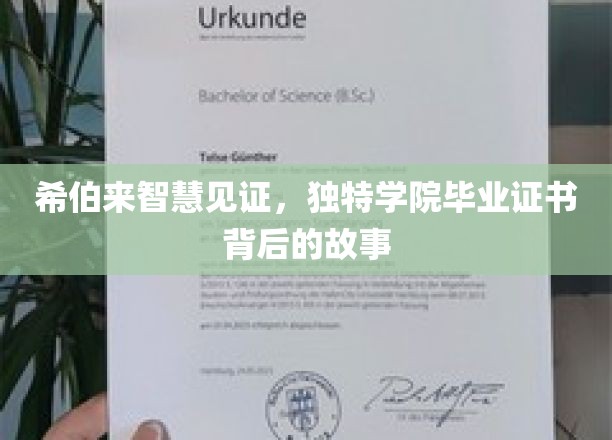 希伯来智慧见证，独特学院毕业证书背后的故事