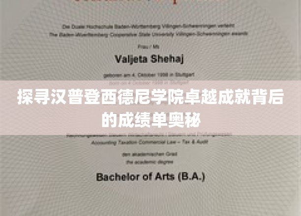 解码汉普登西德尼学院辉煌成就的神秘学档