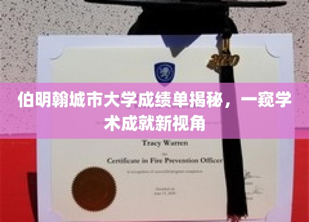 伯明翰城市大学成绩单揭秘，一窥学术成就新视角