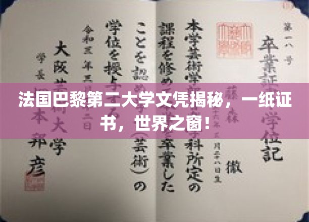 法国巴黎第二大学文凭揭秘，一纸证书，世界之窗！