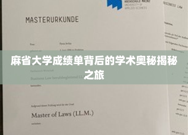 探寻麻省大学成绩单背后的学术神秘面纱