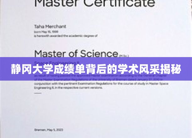 探寻静冈大学成绩单背后的学术精英风采