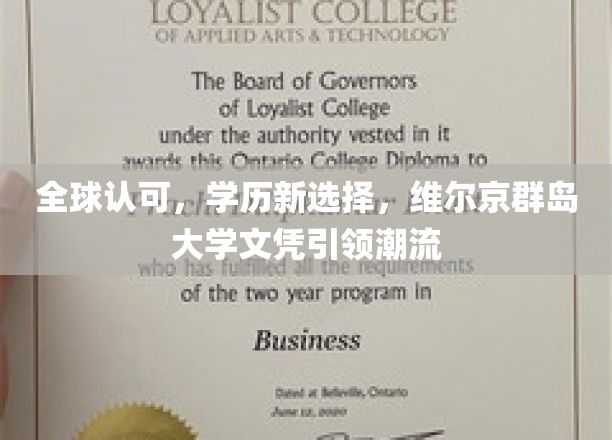 全球认可，学历新选择，维尔京群岛大学文凭引领潮流