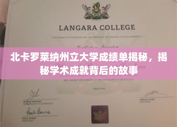 北卡罗莱纳州立大学成绩单揭秘，揭秘学术成就背后的故事