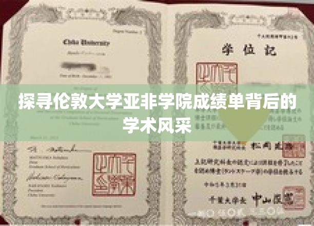 解码伦敦大学亚非学院，成绩单里的学术魅力揭秘