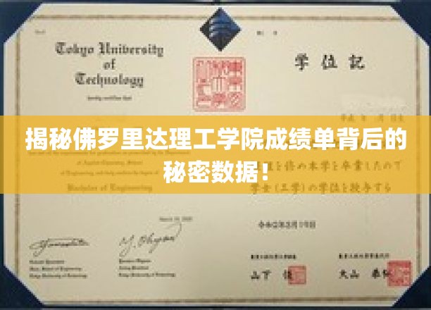 解码佛罗里达理工学院成绩单，隐藏的数据故事