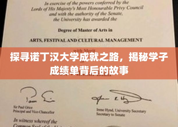 诺丁汉骄子，揭秘学子卓越背后的奋斗轨迹