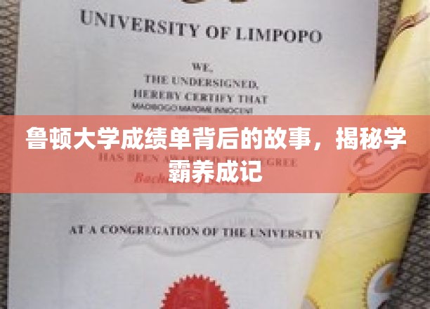 鲁顿学霸养成记，揭开成绩单背后的精彩篇章
