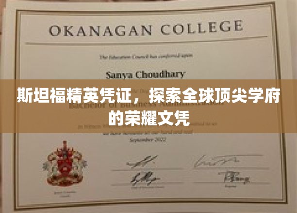 斯坦福高光凭证，解锁世界一流大学的卓越文凭之路
